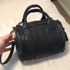 Alexander Wang Large Leather Rocco bag